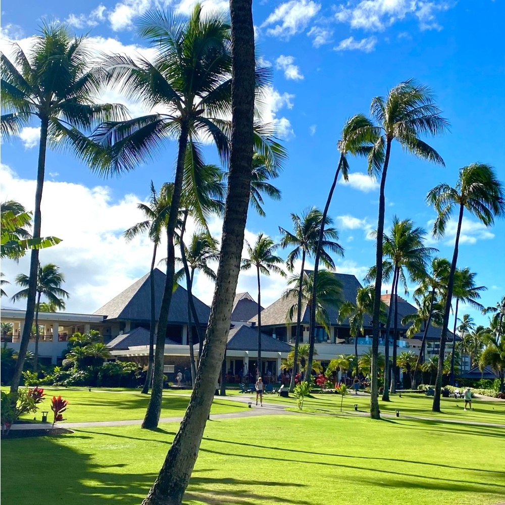 Meet your Posher, Sharisse